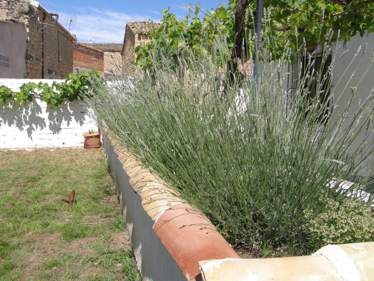 Casa Rural Carino Armananzas Εξωτερικό φωτογραφία